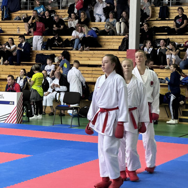 MČR týmů WKF