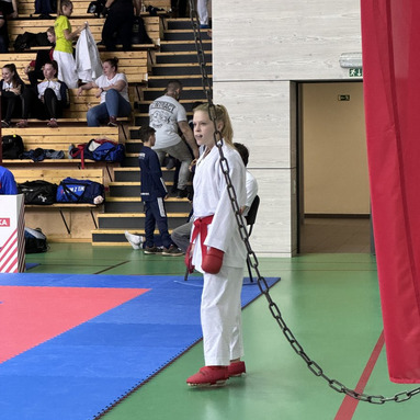 MČR týmů WKF