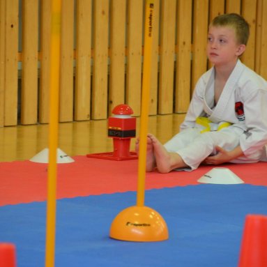Mistrovství ústeckého kraje + beginner