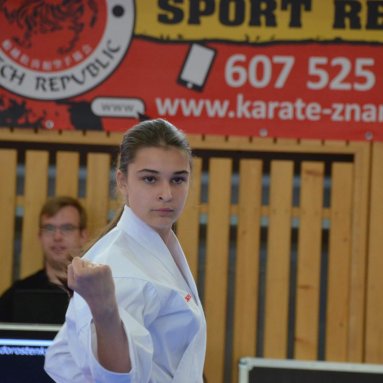 Mistrovství ústeckého kraje + beginner
