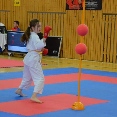 Mistrovství ústeckého kraje + beginner