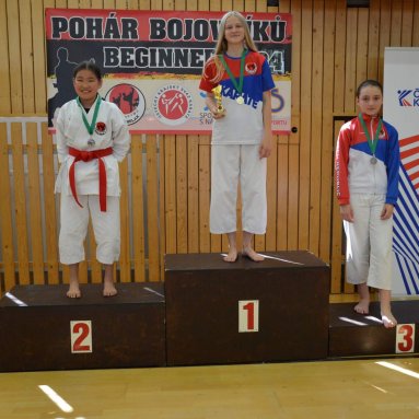 Pohár bojovníků