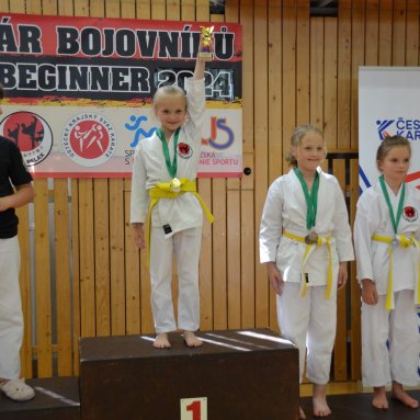 Pohár bojovníků