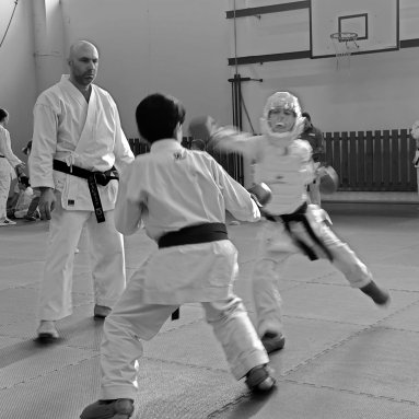 Seminář kata a kumite 22.3.2025