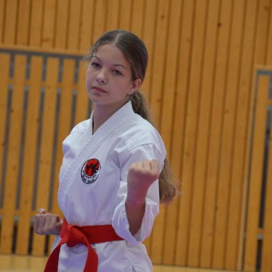 Mistrovství ústeckého kraje + beginner 10.5.2025