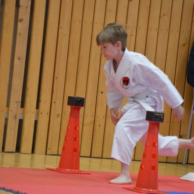 Mistrovství ústeckého kraje + beginner 10.5.2025