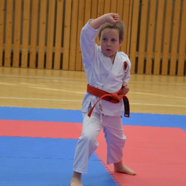 Mistrovství ústeckého kraje + beginner 10.5.2025
