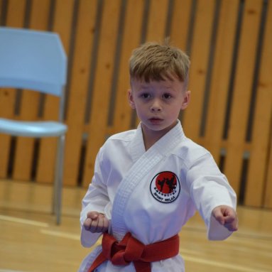 Mistrovství ústeckého kraje + beginner 10.5.2025