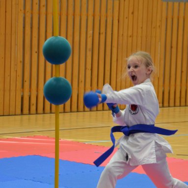 Mistrovství ústeckého kraje + beginner 10.5.2025