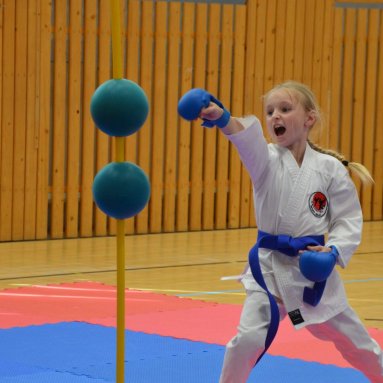 Mistrovství ústeckého kraje + beginner 10.5.2025