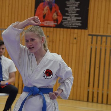 Mistrovství ústeckého kraje + beginner 10.5.2025
