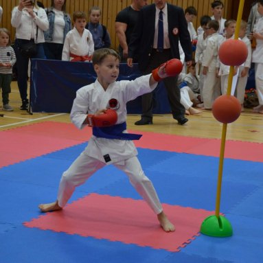 Mistrovství ústeckého kraje + beginner 10.5.2025