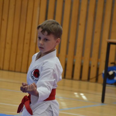 Mistrovství ústeckého kraje + beginner 10.5.2025