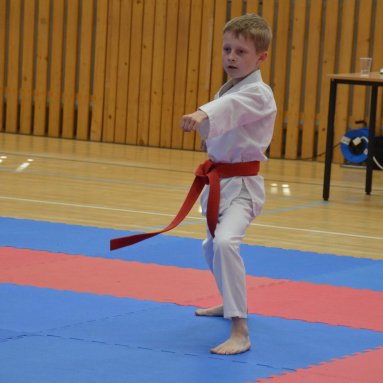 Mistrovství ústeckého kraje + beginner 10.5.2025