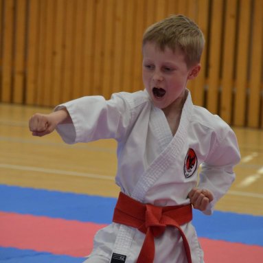 Mistrovství ústeckého kraje + beginner 10.5.2025