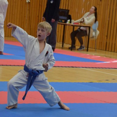 Mistrovství ústeckého kraje + beginner 10.5.2025