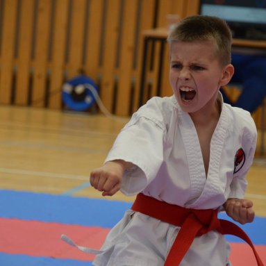 Mistrovství ústeckého kraje + beginner 10.5.2025