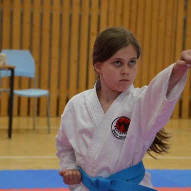 Mistrovství ústeckého kraje + beginner 10.5.2025