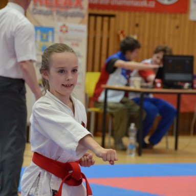 Mistrovství ústeckého kraje + beginner 10.5.2025
