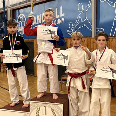 Memoriál M.Šianského - krajský pohár Louny 31.5.2025