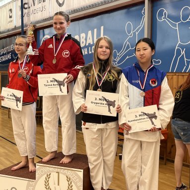 Memoriál M.Šianského - krajský pohár Louny 31.5.2025