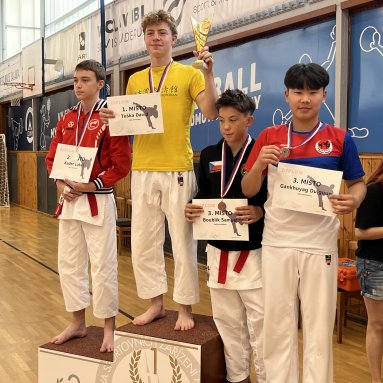 Memoriál M.Šianského - krajský pohár Louny 31.5.2025