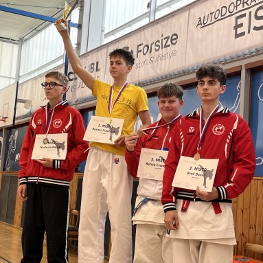 Memoriál M.Šianského - krajský pohár Louny 31.5.2025