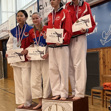 Memoriál M.Šianského - krajský pohár Louny 31.5.2025