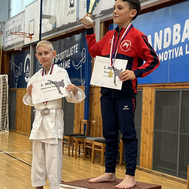 Memoriál M.Šianského - krajský pohár Louny 31.5.2025