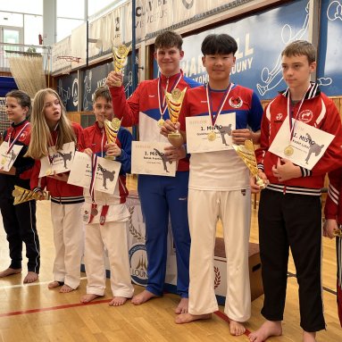 Memoriál M.Šianského - krajský pohár Louny 31.5.2025