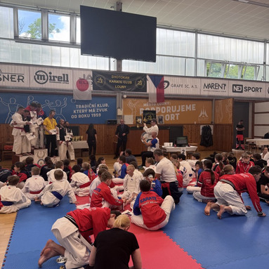 Memoriál M.Šianského - krajský pohár Louny 31.5.2025