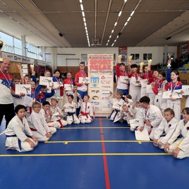 Memoriál M.Šianského - krajský pohár Louny 31.5.2025