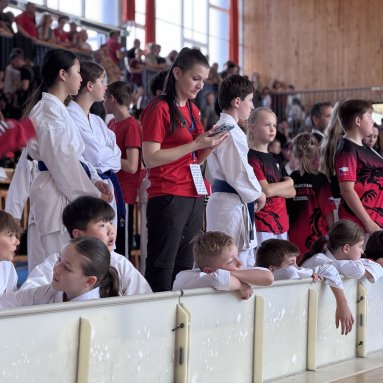 MČR Beginner Plzeň 14.6.2025