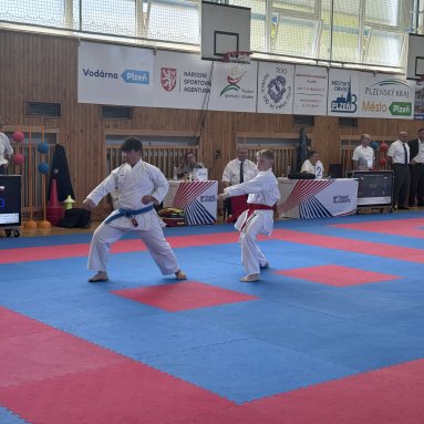 MČR Beginner Plzeň 14.6.2025