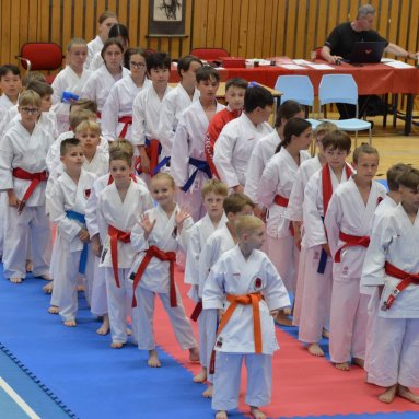 Mistrovství FSKA Funakoshi Cup 21.6.2025