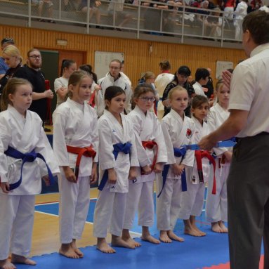 Mistrovství FSKA Funakoshi Cup 21.6.2025
