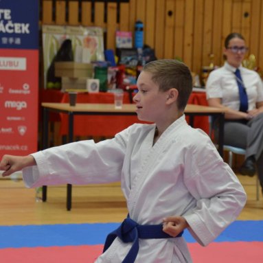 Mistrovství FSKA Funakoshi Cup 21.6.2025