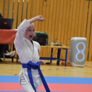 Mistrovství FSKA Funakoshi Cup 21.6.2025