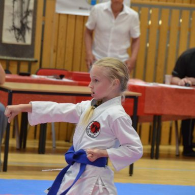 Mistrovství FSKA Funakoshi Cup 21.6.2025