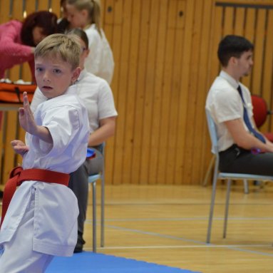 Mistrovství FSKA Funakoshi Cup 21.6.2025