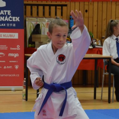 Mistrovství FSKA Funakoshi Cup 21.6.2025