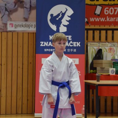 Mistrovství FSKA Funakoshi Cup 21.6.2025