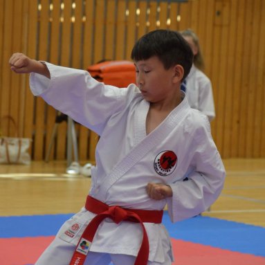 Mistrovství FSKA Funakoshi Cup 21.6.2025