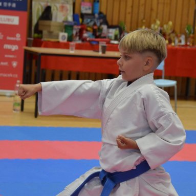 Mistrovství FSKA Funakoshi Cup 21.6.2025