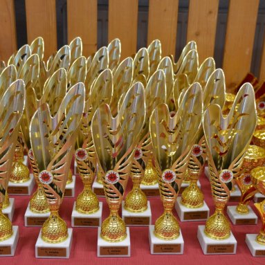 Mistrovství FSKA Funakoshi Cup 21.6.2025