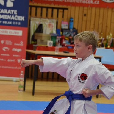 Mistrovství FSKA Funakoshi Cup 21.6.2025