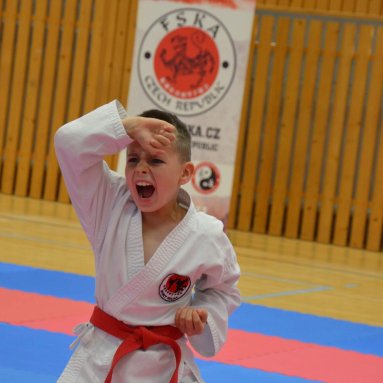 Mistrovství FSKA Funakoshi Cup 21.6.2025