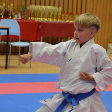 Mistrovství FSKA Funakoshi Cup 21.6.2025