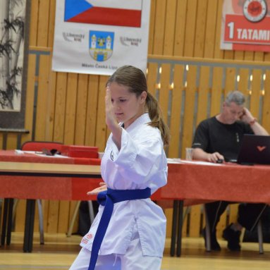 Mistrovství FSKA Funakoshi Cup 21.6.2025
