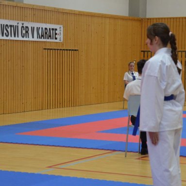 Mistrovství FSKA Funakoshi Cup 21.6.2025